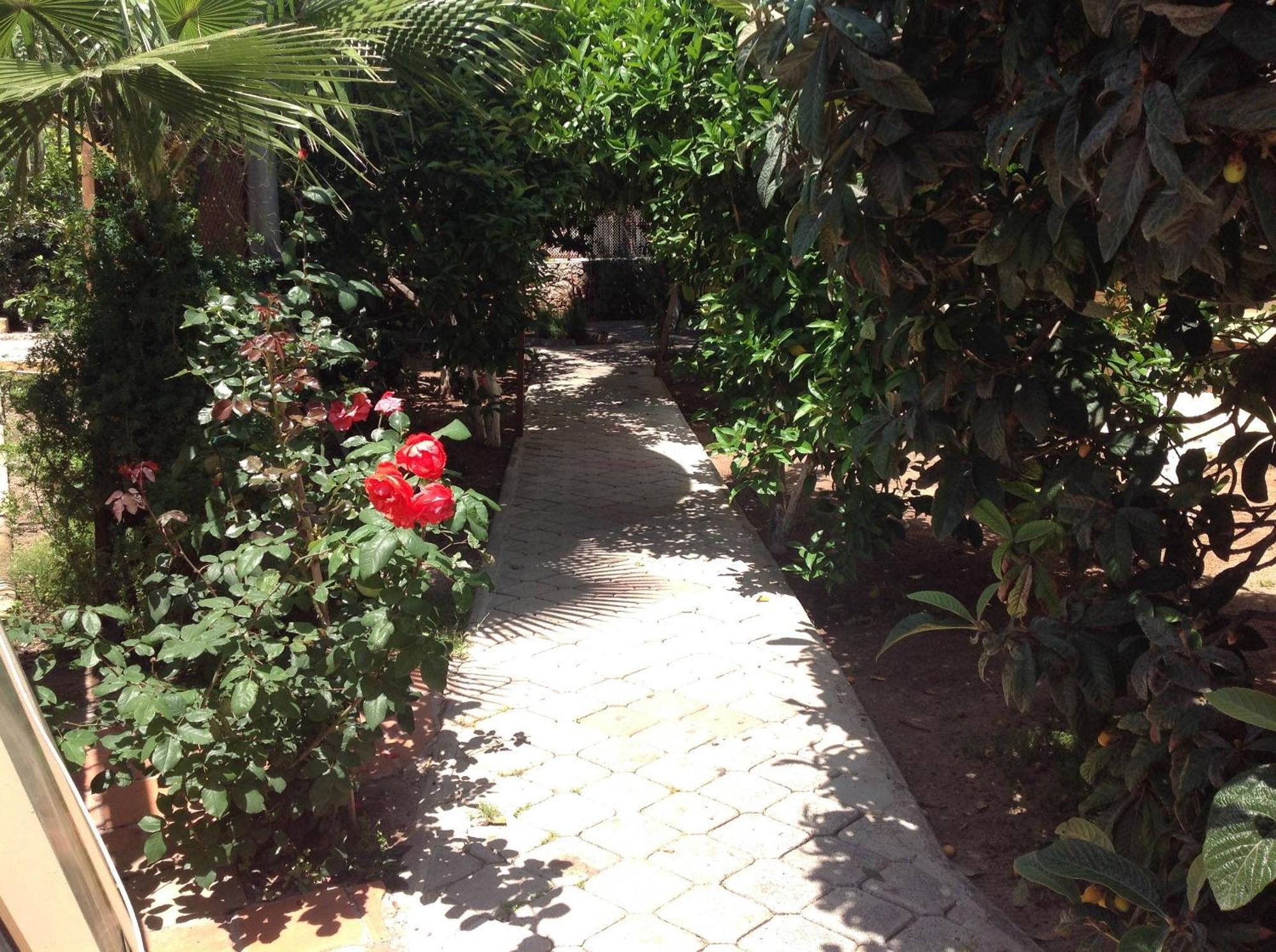 Ilkiz Beach Hotel Oludeniz Luaran gambar